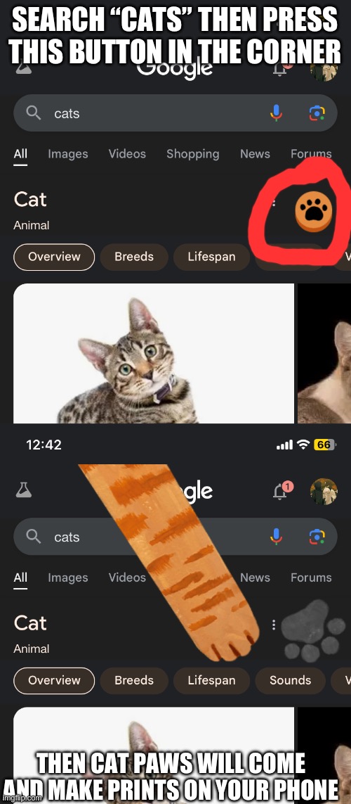 SEARCH “CATS” THEN PRESS THIS BUTTON IN THE CORNER; THEN CAT PAWS WILL COME AND MAKE PRINTS ON YOUR PHONE | image tagged in cats im a kitty cat and i meow meow meow and i meow meow meow | made w/ Imgflip meme maker