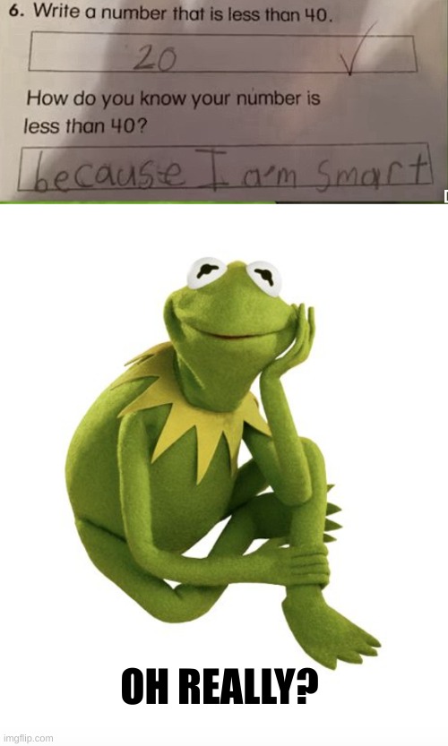 OH REALLY? | image tagged in oh really kermit | made w/ Imgflip meme maker