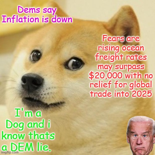 Dogs are smarter then 55% of all dems | Dems say Inflation is down; Fears are rising ocean freight rates may surpass $20,000 with no relief for global trade into 2025; I'm a Dog and i know thats a DEM lie. | image tagged in memes,doge | made w/ Imgflip meme maker
