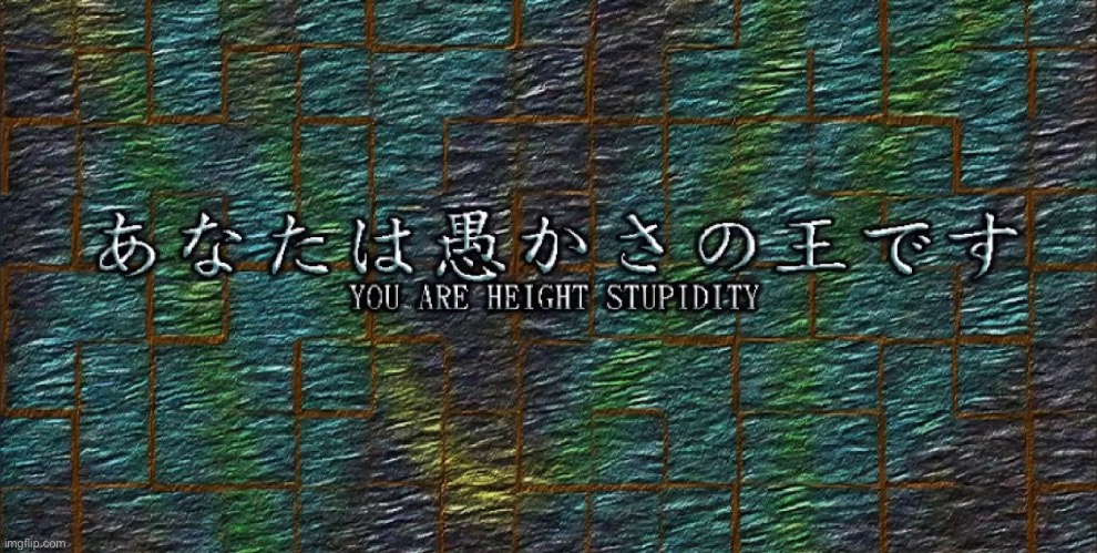 YOU ARE HEIGHT STUPIDITY | image tagged in you are height stupidity | made w/ Imgflip meme maker