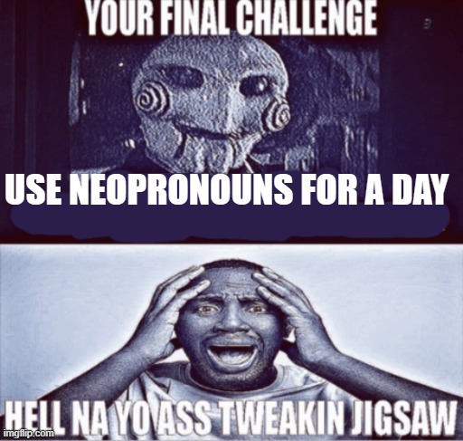 your final challenge | USE NEOPRONOUNS FOR A DAY | image tagged in your final challenge | made w/ Imgflip meme maker