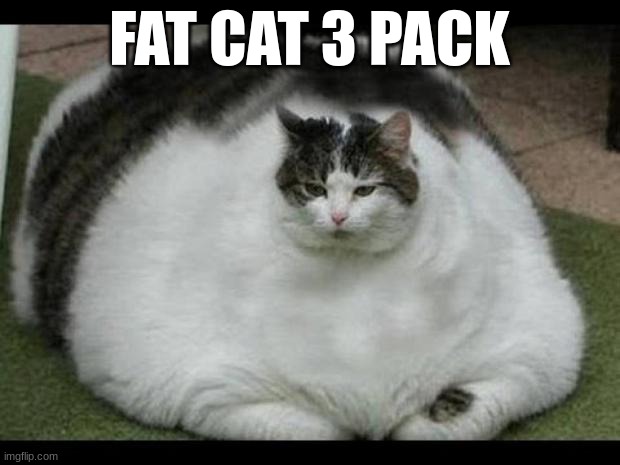 bro its gramps Garfield IRL | FAT CAT 3 PACK | image tagged in fat cat 2,3-pack,3 pack,3pack | made w/ Imgflip meme maker