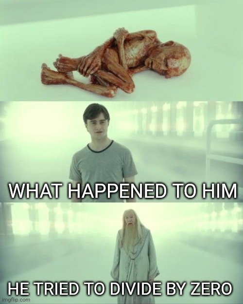 Eee | WHAT HAPPENED TO HIM; HE TRIED TO DIVIDE BY ZERO | image tagged in dead baby voldemort / what happened to him | made w/ Imgflip meme maker