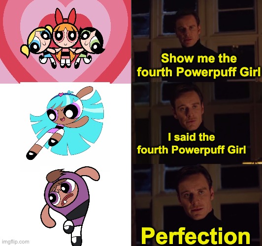 The REAL fourth Powerpuff Girl. | Show me the fourth Powerpuff Girl; I said the fourth Powerpuff Girl; Perfection | image tagged in perfection,powerpuff girls,cartoons | made w/ Imgflip meme maker