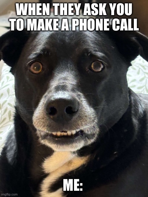 Terrified to make phone call | WHEN THEY ASK YOU TO MAKE A PHONE CALL; ME: | image tagged in phone call | made w/ Imgflip meme maker