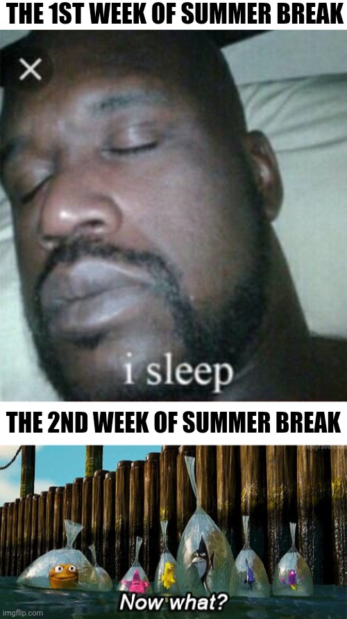 What now | THE 1ST WEEK OF SUMMER BREAK; THE 2ND WEEK OF SUMMER BREAK | image tagged in memes,sleeping shaq,now what,funny,summer vacation | made w/ Imgflip meme maker