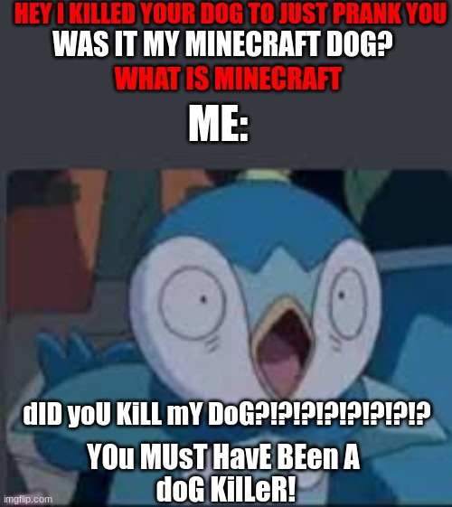 Surprised piplup | HEY I KILLED YOUR DOG TO JUST PRANK YOU; WAS IT MY MINECRAFT DOG? WHAT IS MINECRAFT; ME:; dID yoU KiLL mY DoG?!?!?!?!?!?!?!? YOu MUsT HavE BEen A 
doG KilLeR! | image tagged in surprised piplup | made w/ Imgflip meme maker