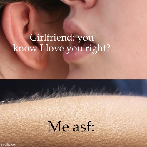 Whisper and Goosebumps | Girlfriend: you know I love you right? Me asf: | image tagged in free,me,your,basement,bitch please | made w/ Imgflip meme maker