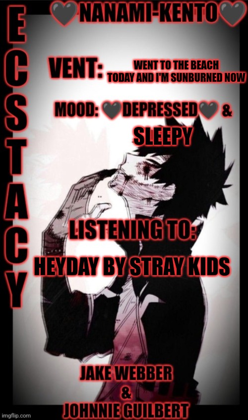 Beach | WENT TO THE BEACH TODAY AND I'M SUNBURNED NOW; SLEEPY; HEYDAY BY STRAY KIDS | image tagged in lol | made w/ Imgflip meme maker