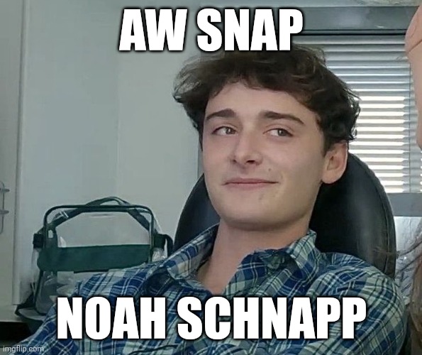 I Thought This Would Be Funnier | AW SNAP; NOAH SCHNAPP | image tagged in funny,netflix,stranger things,memes | made w/ Imgflip meme maker