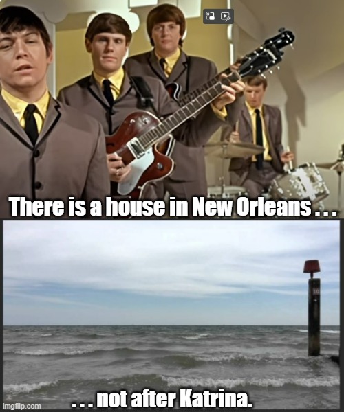 House of the Rising Sun | There is a house in New Orleans . . . . . . not after Katrina. | image tagged in animals,flooded,flood,new orleans,disaster | made w/ Imgflip meme maker