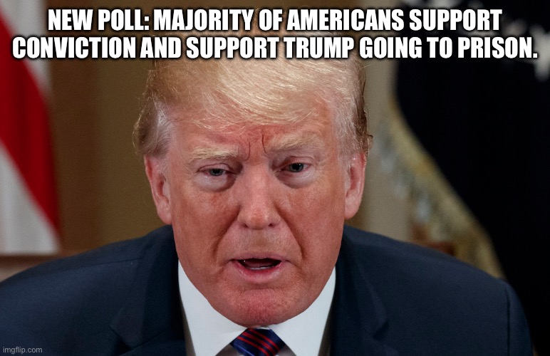 Get shrekt Felon! | NEW POLL: MAJORITY OF AMERICANS SUPPORT CONVICTION AND SUPPORT TRUMP GOING TO PRISON. | image tagged in trump scared frightened in tears,guilty on 34,trump the felon,lock him up,stop slammer time | made w/ Imgflip meme maker