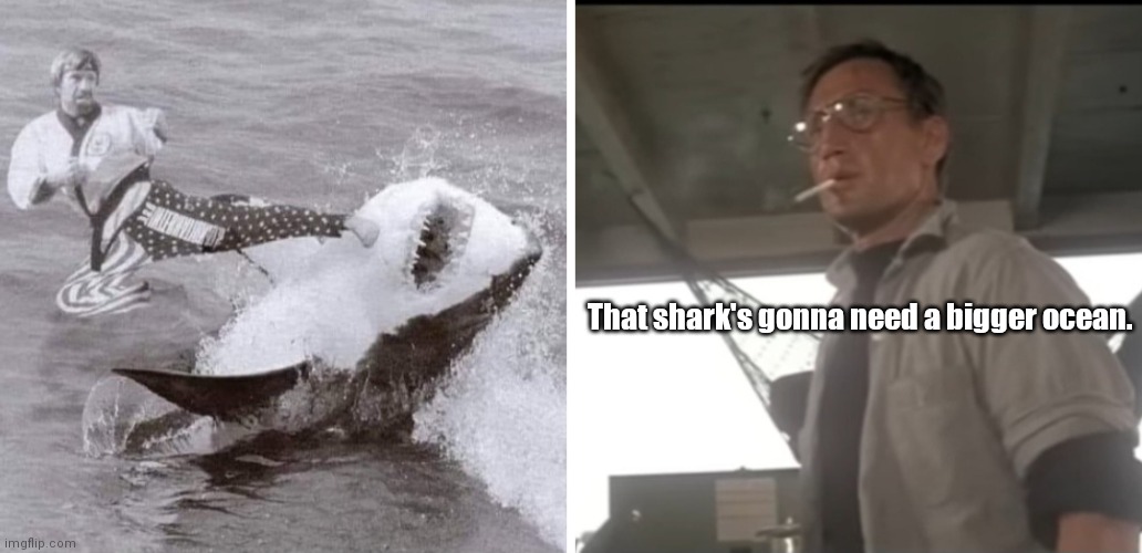 Chuck 1, Shark 0 | That shark's gonna need a bigger ocean. | image tagged in funny | made w/ Imgflip meme maker