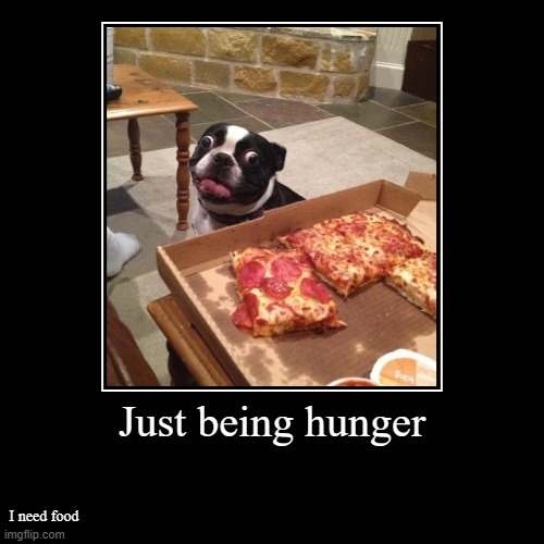 Hunger | Just being hunger | I need food | image tagged in funny,demotivationals | made w/ Imgflip demotivational maker