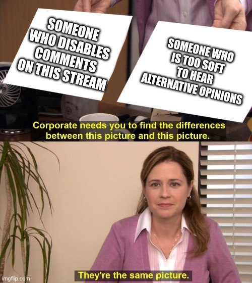 They are the same picture | SOMEONE WHO DISABLES COMMENTS ON THIS STREAM; SOMEONE WHO IS TOO SOFT TO HEAR ALTERNATIVE OPINIONS | image tagged in they are the same picture | made w/ Imgflip meme maker