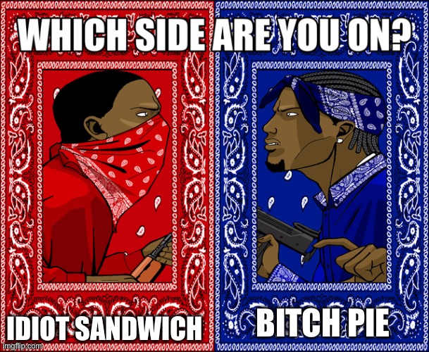 WHICH SIDE ARE YOU ON? | IDIOT SANDWICH BITCH PIE | image tagged in which side are you on | made w/ Imgflip meme maker