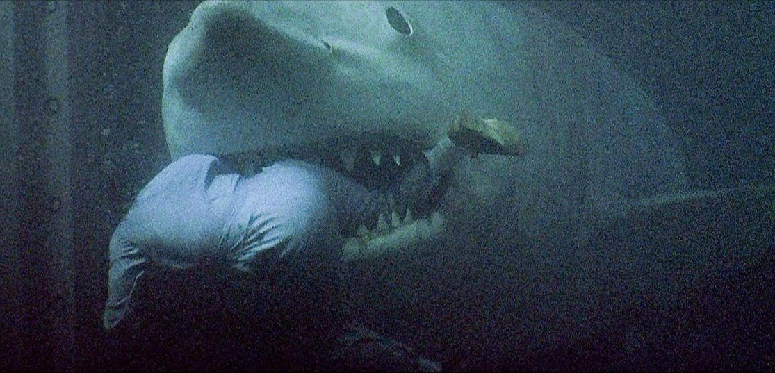 High Quality Jaws Blank Meme Template