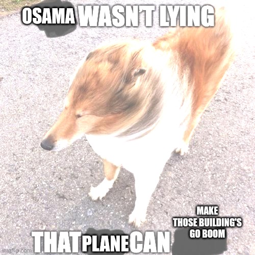 Osama isn't a lyer | OSAMA; PLANE; MAKE THOSE BUILDING'S GO BOOM | image tagged in that x wasn t lying that y can action,9/11 | made w/ Imgflip meme maker