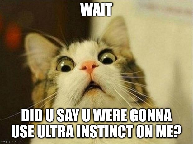pvp | WAIT; DID U SAY U WERE GONNA USE ULTRA INSTINCT ON ME? | image tagged in memes,scared cat | made w/ Imgflip meme maker