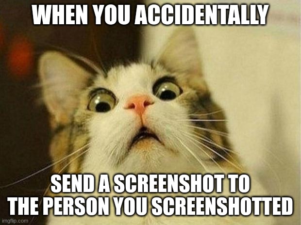 Scared Cat | WHEN YOU ACCIDENTALLY; SEND A SCREENSHOT TO THE PERSON YOU SCREENSHOTTED | image tagged in memes,scared cat | made w/ Imgflip meme maker