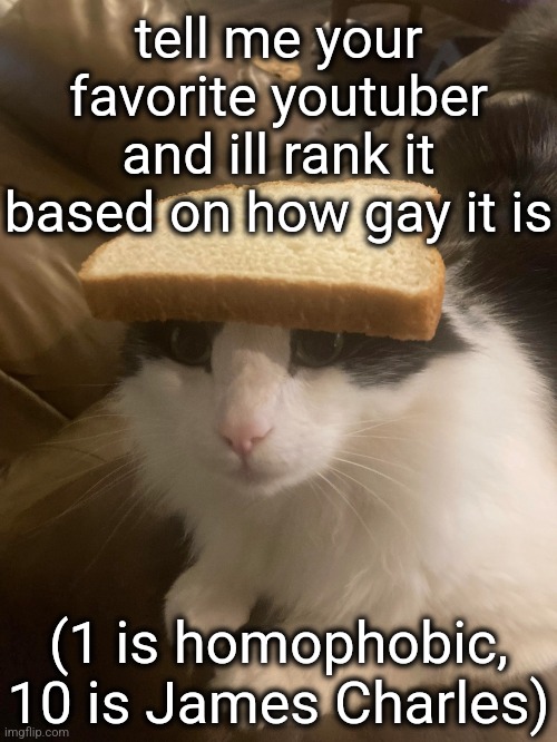bread cat | tell me your favorite youtuber and ill rank it based on how gay it is; (1 is homophobic, 10 is James Charles) | image tagged in bread cat | made w/ Imgflip meme maker