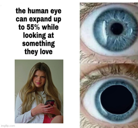 Human eye | image tagged in human eye | made w/ Imgflip meme maker