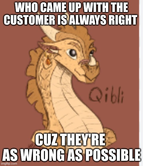 Qibli agrees | WHO CAME UP WITH THE CUSTOMER IS ALWAYS RIGHT; CUZ THEY'RE  AS WRONG AS POSSIBLE | image tagged in qibli agrees | made w/ Imgflip meme maker