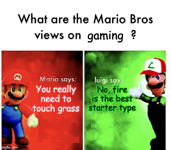 When it's gone too far | gaming; No, fire is the best starter type; You really need to touch grass | image tagged in mario v luigi,mario,luigi,nintendo,pokemon | made w/ Imgflip meme maker