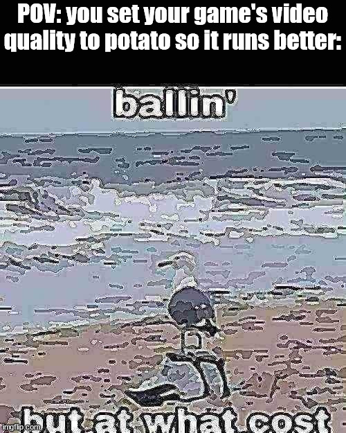 120 FPS, but at what cost | POV: you set your game's video quality to potato so it runs better: | image tagged in ballin but at what cost,birb,ballin bird | made w/ Imgflip meme maker