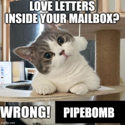 Love letters inside your mailbox? Wrong! | PIPEBOMB | image tagged in love letters inside your mailbox wrong | made w/ Imgflip meme maker