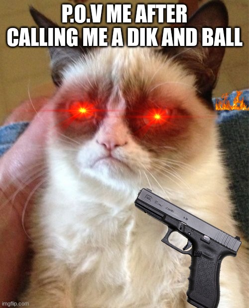 Grumpy Cat | P.O.V ME AFTER CALLING ME A DIK AND BALL | image tagged in memes,grumpy cat | made w/ Imgflip meme maker