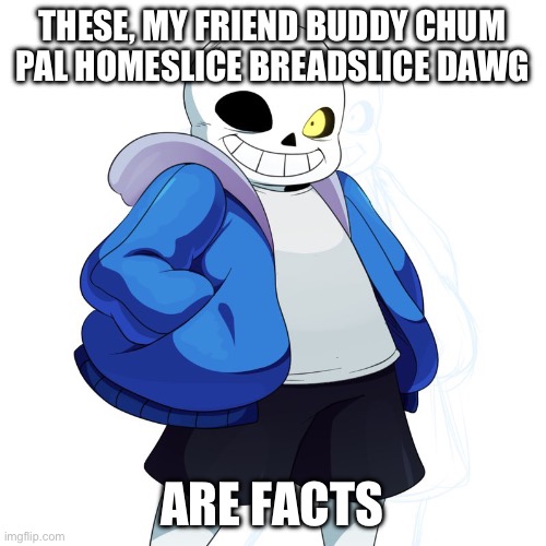 Sans Undertale | THESE, MY FRIEND BUDDY CHUM PAL HOMESLICE BREADSLICE DAWG ARE FACTS | image tagged in sans undertale | made w/ Imgflip meme maker