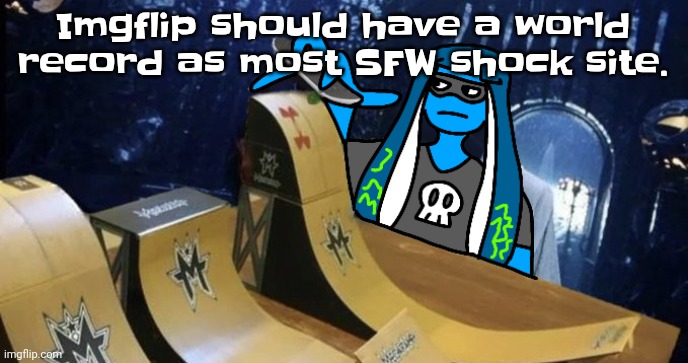 Skatezboard | Imgflip should have a world record as most SFW shock site. | image tagged in skatezboard | made w/ Imgflip meme maker