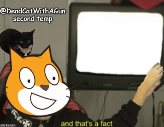 DeadCatWithAGun announcement temp 2 | image tagged in deadcatwithagun announcement temp 2 | made w/ Imgflip meme maker