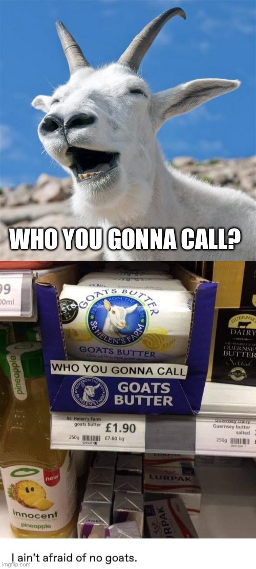 Who you gonna call? | WHO YOU GONNA CALL? | image tagged in memes,laughing goat,butter | made w/ Imgflip meme maker