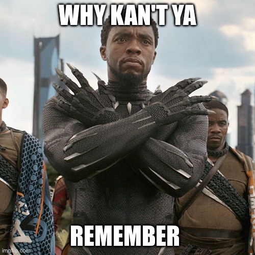 When  I forget anything | WHY KAN'T YA; REMEMBER | image tagged in wakanda forever | made w/ Imgflip meme maker