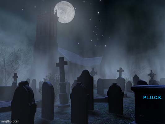 creepy graveyard | P.L.U.C.K. | image tagged in creepy graveyard | made w/ Imgflip meme maker