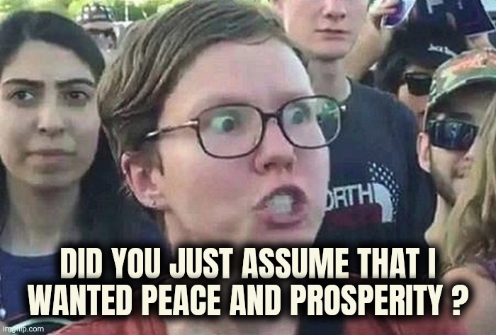 Libs these days | DID YOU JUST ASSUME THAT I
WANTED PEACE AND PROSPERITY ? | image tagged in triggered liberal,inflation,wars,i'm tired of pretending it's not,politicians suck,drain the swamp | made w/ Imgflip meme maker