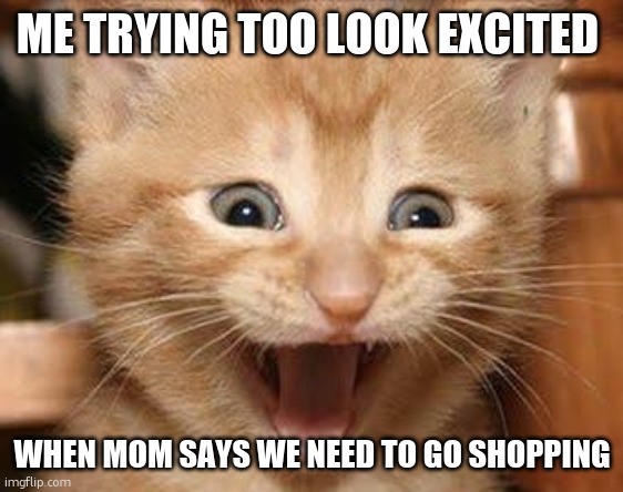 Excited Cat | ME TRYING TOO LOOK EXCITED; WHEN MOM SAYS WE NEED TO GO SHOPPING | image tagged in memes,excited cat | made w/ Imgflip meme maker