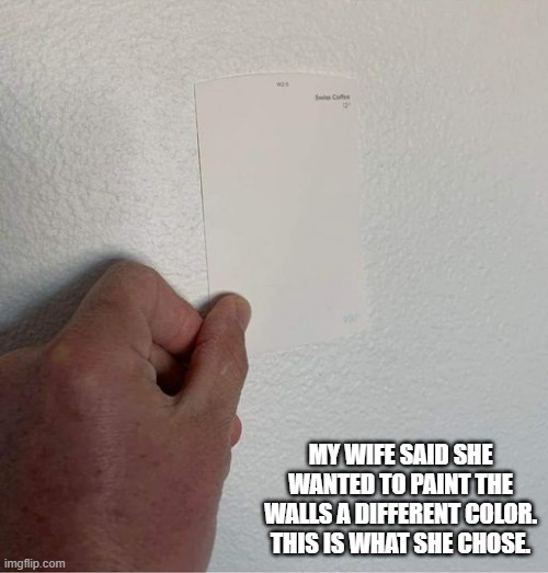 meme by Brad - my wife chose a color for the kitchen - humor | MY WIFE SAID SHE WANTED TO PAINT THE WALLS A DIFFERENT COLOR. THIS IS WHAT SHE CHOSE. | image tagged in funny,fun,funny meme,paint,kitchen,humor | made w/ Imgflip meme maker