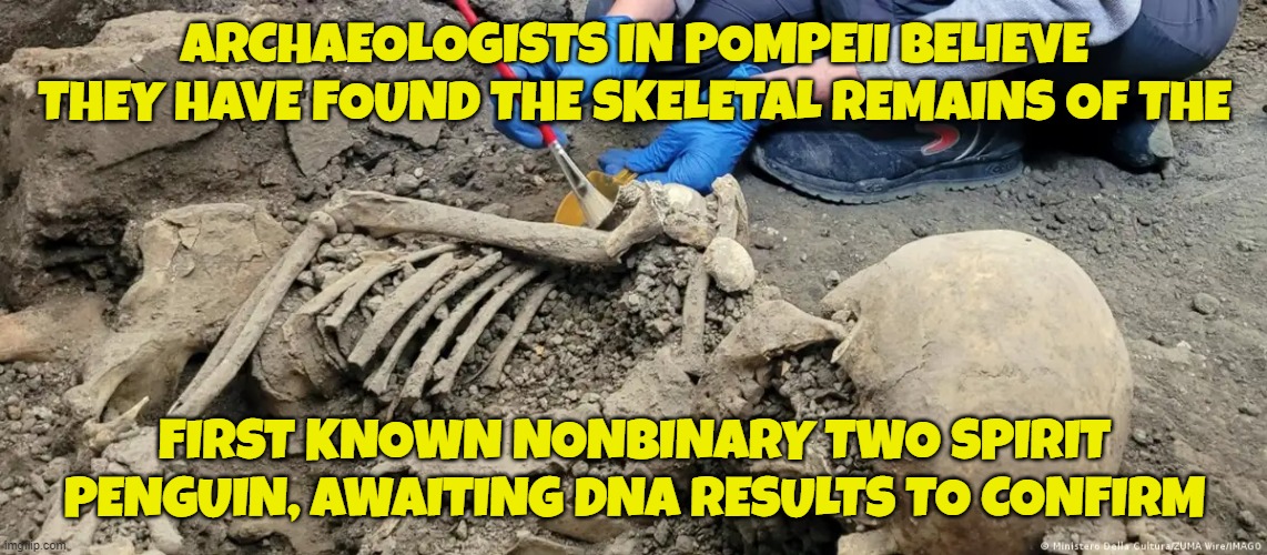 first nonbinary two spirit penguin remains found | ARCHAEOLOGISTS IN POMPEII BELIEVE THEY HAVE FOUND THE SKELETAL REMAINS OF THE; FIRST KNOWN NONBINARY TWO SPIRIT PENGUIN, AWAITING DNA RESULTS TO CONFIRM | image tagged in mental health,mental illness,sickness,gender,gender identity,2 genders | made w/ Imgflip meme maker