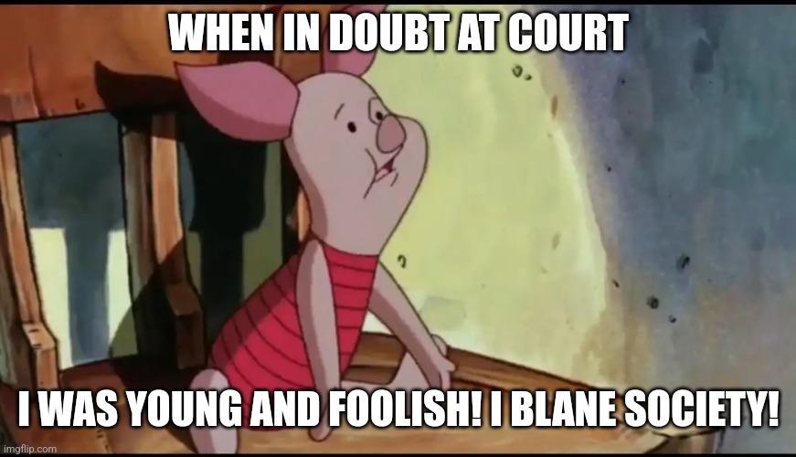 I was young and foolish I blame society! | WHEN IN DOUBT AT COURT; I WAS YOUNG AND FOOLISH! I BLANE SOCIETY! | image tagged in i was young and foolish i blame society | made w/ Imgflip meme maker