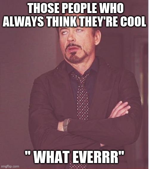 Face You Make Robert Downey Jr Meme | THOSE PEOPLE WHO ALWAYS THINK THEY'RE COOL; " WHAT EVERRR" | image tagged in memes,face you make robert downey jr | made w/ Imgflip meme maker