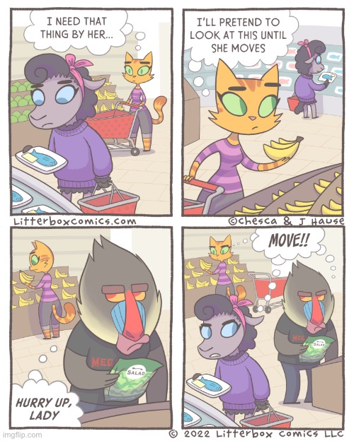 image tagged in litterbox comics,comic,funny,relatable | made w/ Imgflip meme maker