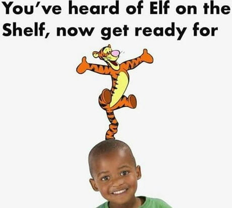 Tiger On The N- Blank Meme Template