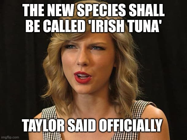 Taylor said officially | THE NEW SPECIES SHALL BE CALLED 'IRISH TUNA'; TAYLOR SAID OFFICIALLY | image tagged in taylor swiftie | made w/ Imgflip meme maker