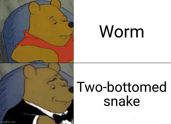 Tuxedo Winnie The Pooh Meme | Worm; Two-bottomed snake | image tagged in memes,tuxedo winnie the pooh | made w/ Imgflip meme maker