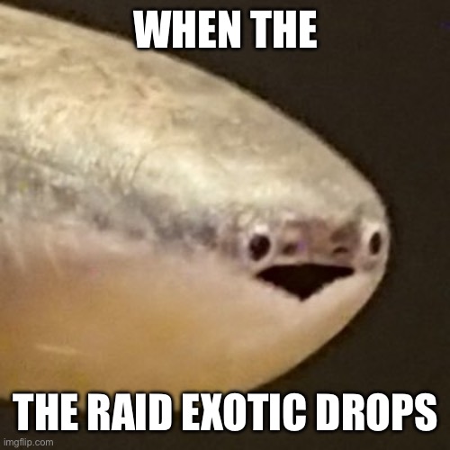 Live sacabambaspis reaction | WHEN THE; THE RAID EXOTIC DROPS | image tagged in live sacabambaspis reaction | made w/ Imgflip meme maker