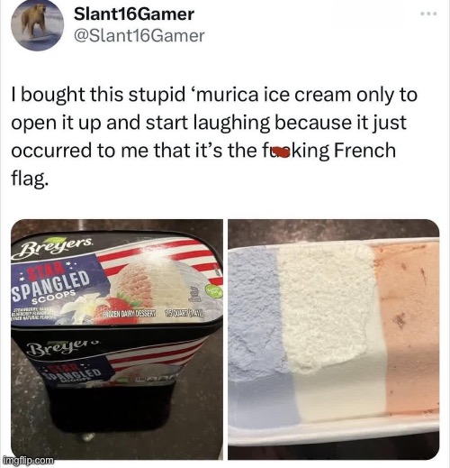 American IcevCream? | image tagged in ice cream,american,french | made w/ Imgflip meme maker