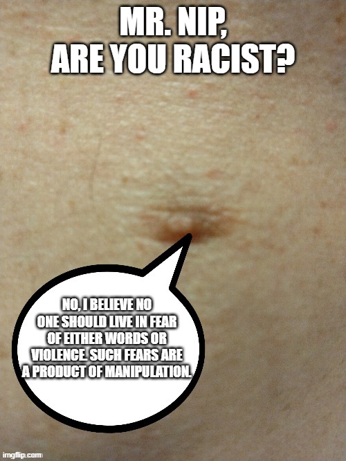 to control the masses, give them a boogey man to dehuanize. | MR. NIP, ARE YOU RACIST? NO, I BELIEVE NO ONE SHOULD LIVE IN FEAR OF EITHER WORDS OR VIOLENCE. SUCH FEARS ARE A PRODUCT OF MANIPULATION. | image tagged in sezmo's third nipple | made w/ Imgflip meme maker